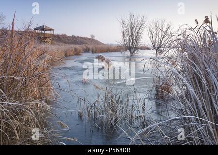 Ivars Lake en hiver. Domaine de ? ? L'intérêt naturel. Province de Lleida. L'Espagne. Banque D'Images