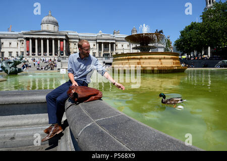 Un homme attire un canard alors qu'il est assis au soleil à Trafalgar Square, Londres, comme une vague qui pourrait produire les températures plus chaudes cette année est en travers de l'UK. Banque D'Images