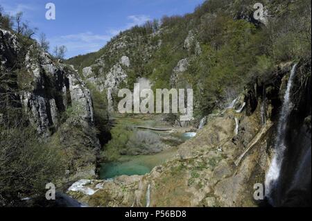 La Croatie. Le parc national des Lacs de Plitvice. Fondée en 1949. UNESCO World Heritage Site. Banque D'Images