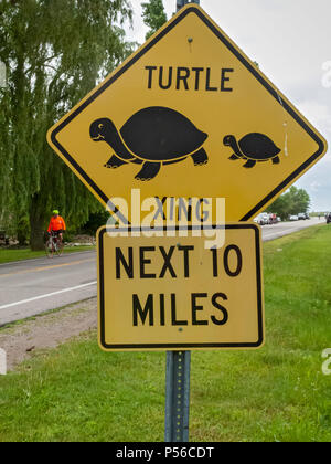 Harsens Île, Michigan - un signe met en garde contre des tortues qui traversent la route. Banque D'Images