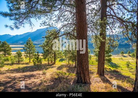 Williams Creek Reservoir dans le San Juan Mountains près de Pagosa Springs, Colorado, États-Unis Banque D'Images