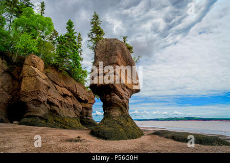 Les Rochers de Hopewell également connu sous le nom de rochers en forme, le long de la baie de Fundy, Nouveau-Brunswick, Canada. Banque D'Images