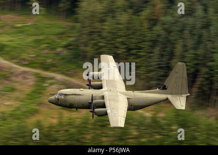 RAF Hercules C130 volant à faible niveau dans le domaine de la boucle de mach de galles (LFA7, zone 7) à basse altitude près de Snowdonia, Banque D'Images