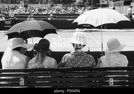 Tennis de Wimbledon, le jeudi 24 juin 1976. Notre photo montre ... spectateurs utiliser leurs parapluies pour la protection contre les rayons du soleil pendant la canicule. Banque D'Images