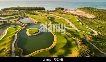 Par 3'île verte entourée d'eau Banque D'Images