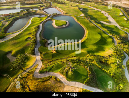 Par 3'île verte entourée d'eau Banque D'Images