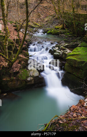 Réserve Naturelle Dell Healey, Rochdale , Greater Manchester, Royaume-Uni Banque D'Images