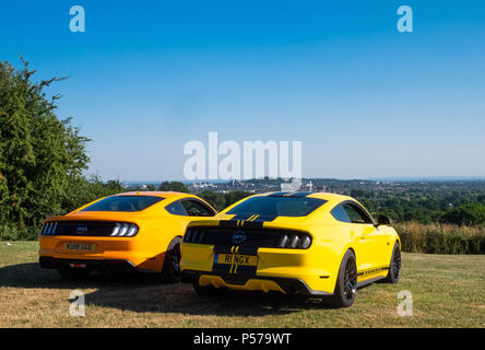 Londres, Angleterre. 25 juin 2018. Deux Européens, Mustangs droite administré par le père et le fils, Eugene et anneau Anneau Cameron, dans le soleil de la canicule à Londres. Il est dit que cette canicule se poursuivra au cours de la semaine prochaine. Crédit : Tim Ring/Alamy Live News Banque D'Images