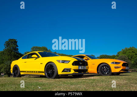 Londres, Angleterre. 25 juin 2018. Deux Européens, Mustangs droite administré par le père et le fils, Eugene et anneau Anneau Cameron, dans le soleil de la canicule à Londres. Il est dit que cette canicule se poursuivra au cours de la semaine prochaine. Crédit : Tim Ring/Alamy Live News Banque D'Images