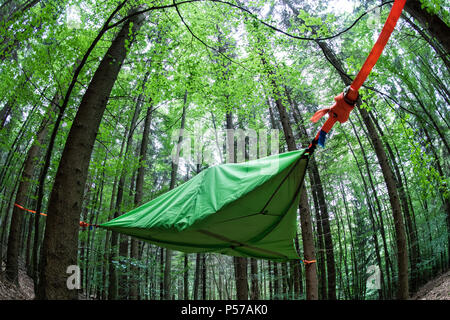 Uslar, Allemagne. 21 Juin, 2018. Un arbre se bloque sur 1 tente, 5 mètres au-dessus du sol fixée à trois arbres au ErlebnisWald (lit. La forêt de l'aventure). Credit : Swen Pförtner/dpa/Alamy Live News Banque D'Images