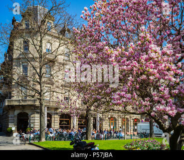 Strasbourg, Marcel Rudloff square de fleurs de magnolia et cafe Brant, Alsace, France, Europe, Banque D'Images