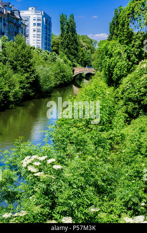 Strasbourg, la rivière Aar et les bâtiments résidentiels avec verdure, quartier Neustadt, Alsace, France, Europe, Banque D'Images