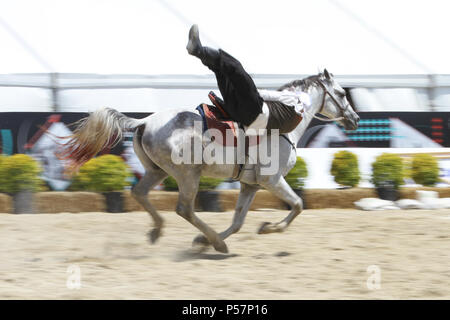 ISTANBUL, TURQUIE - 12 MAI 2018 : équitation Show durant le Festival de la Culture Etnospor Banque D'Images