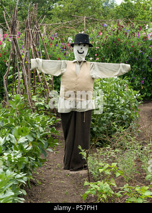 Épouvantail Smartly dressed in allotment potager, Derbyshire, Royaume-Uni Banque D'Images