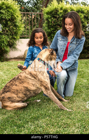 Grande sœur plus jeune sœur aidant avec Greyhound brosse chien jardin à l'extérieur travailler ensemble © Myrleen corvées M. Pearson ...Ferguson Cate Banque D'Images