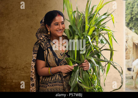 Rurales indiennes woman holding bunch de cultures et la faucille Banque D'Images