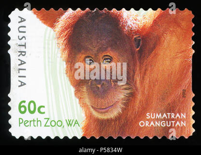 L'AUSTRALIE - circa 2012 : timbre imprimé dans l'Australie présente le zoo de Perth orang-outan de Sumatra,WA, série, vers 2012 Banque D'Images