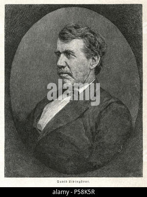 David Livingstone (1813-73), missionnaire et explorateur écossais, Portrait Banque D'Images