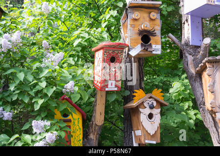 Novosibirsk, Russie - 06.15.2018 : une cabane en bois faites par les enfants avec leurs mains pour l'exposition dans laquelle les oiseaux vivent, sont peints Banque D'Images