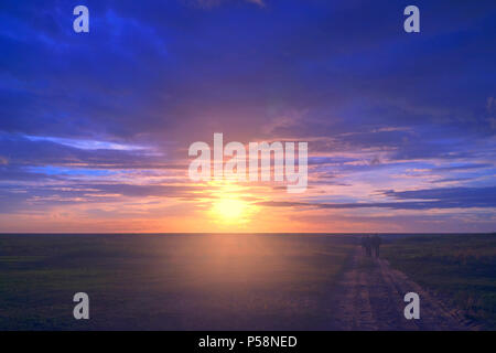 Route de la mer, sur les dunes avec de l'herbe verte pour le coucher du soleil sur l'horizon de mer en été avec un ciel bleu à faible contraste. Banque D'Images
