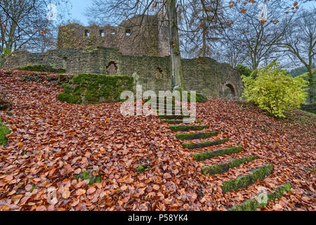 Ruines du château allemand appelé "tolzeneck' près de Heidelberg Banque D'Images