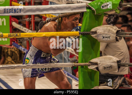 Bangkok, Thaïlande - thaïlandais sont célèbres pour le style de combat de Muay Thai. Ici en particulier des scènes de la Channel 7 Stadium Banque D'Images