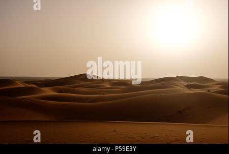 Meknès - TAFILALET, MAROC - CIRCA AVRIL 2017 : lumière du matin sur les dunes du désert du Sahara Banque D'Images