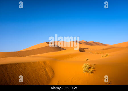 Meknès - TAFILALET, MAROC - CIRCA AVRIL 2017 : lumière du matin sur les dunes du désert du Sahara Banque D'Images