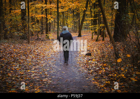 Randonnée fantomatique figure à la place d'automne l'automne, paysage forestier, les arbres avec des feuilles jaunes et les ruelles. Banque D'Images