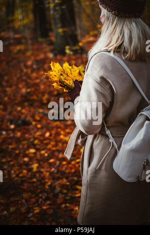 Women holding bouquet de l'automne jaune feuilles d'érable dans ses mains gantées. Sol recouvert de feuilles d'or par lightend chaude soirée de lumière. Banque D'Images