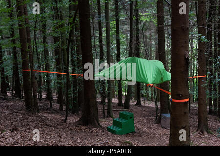 Allemagne, Uslar. 21 Juin, 2018. Un arbre tente peut être vu suspendu 1, 5 mètres au-dessus du sol. Credit : Swen Pförtner/dpa/Alamy Live News Banque D'Images