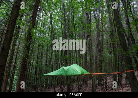 Allemagne, Uslar. 21 Juin, 2018. Un arbre tente peut être vu suspendu 1, 5 mètres au-dessus du sol. Credit : Swen Pförtner/dpa/Alamy Live News Banque D'Images