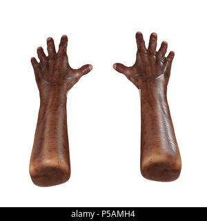 Old african main sur un blanc. 3D illustration Banque D'Images