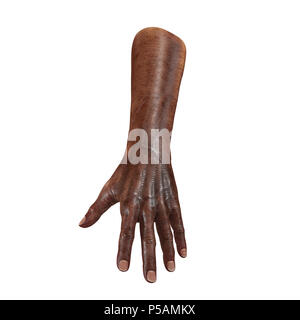 Old african main sur un blanc. 3D illustration Banque D'Images