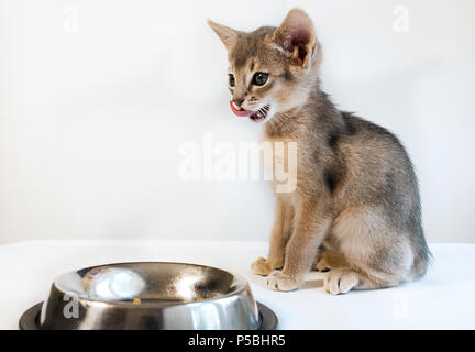 Chat Gris S En Lecher Les Babines Photo Stock Alamy