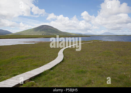 La promenade à travers la tourbière à Claggan randonnée Sentier du littoral qui se trouve près du Parc National de Ballycroy, Comté de Mayo, Irlande Banque D'Images