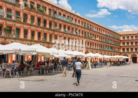Café Plaza Corredera, vue sur les cafés de la Plaza de la Corredera dans le centre de la vieille ville de Cordoue, l'été après-midi, Cordova, Andalousie, Espagne. Banque D'Images