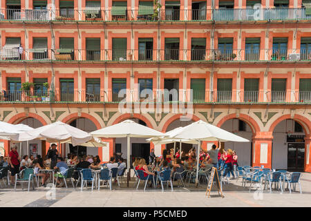 Cordoue, Espagne, vue sur une terrasse de café dans le 17e siècle Plaza de la Corredera dans le centre de Cordoue par un après-midi d'été, Andalousie, espagne. Banque D'Images