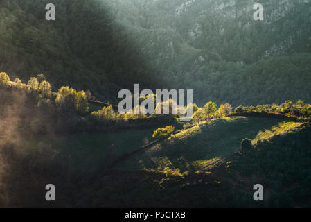 Luces de otoño bañan los bosques y montañas de Triacastela, donde transcurre por el Camino de Santiago Banque D'Images