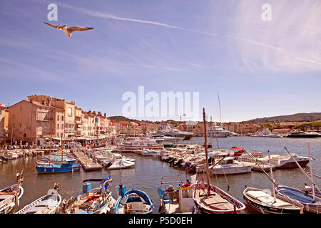 Eine Möwe im Landeanflug auf den Hafen von St. Tropez in der Mittagssonne, Frankreich. Banque D'Images