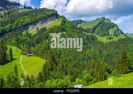 Paysage de montagne dans les Alpes Suisses près de Urnäsch et Schwägalp, canton Appenzell Rhodes-Extérieures, Suisse. Banque D'Images