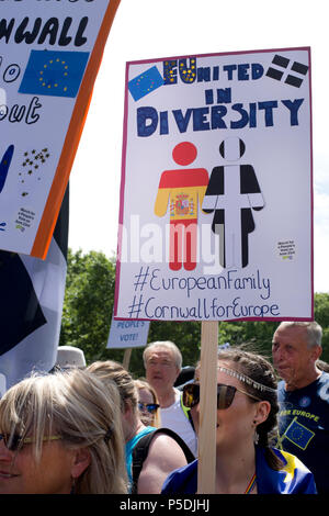 Au 2ème anniversaire de Brexit , le 23 juin 2018, autour de 100 000 personnes ont défilé dans le centre de Londres exigeant un vote du peuple sur l'accord final Brexit. Un y Banque D'Images