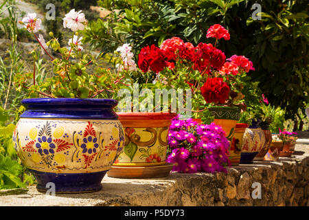 Pots en céramique peinte, avec des fleurs multicolores Banque D'Images