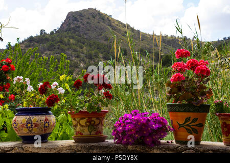 Pots en céramique peinte, avec des fleurs multicolores Banque D'Images