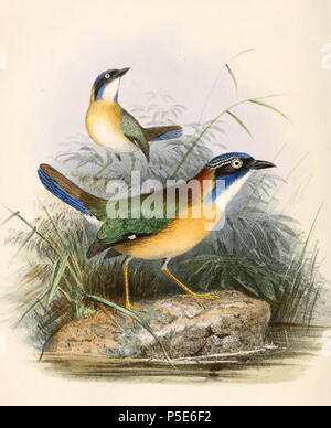 N/A. Atelornis pittoides anglais : " "  = Atelornis pittoides (Pitta-comme le rouleau) English : " Atelornis pittoides Atelornis pittoides "  = (Brachyptérolle pittoïde) . 1862. Joseph Wolf (1820-1899) Noms alternatifs Matthias Wolf ; Joseph Wolff ; Josef Wolf ; Matthias Wolff artiste allemand Description Date de naissance/Décès 21 Janvier 1820 20 avril 1899 Lieu de naissance/décès Mörz, Allemagne lieu de travail Londres London Authority control : Q1708274 VIAF:54950825 ISNI:0000 0000 8384 0531 ULAN:500006240 RCAC:n:NLA80006277 36115701 Atelornis pittoides WorldCat 144 1862 Banque D'Images
