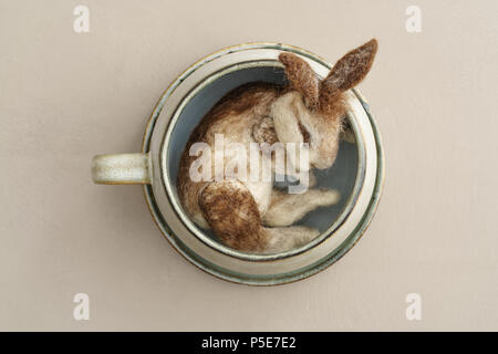 Feutre aiguille lapin sauvage dormir dans une tasse Banque D'Images