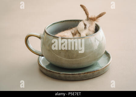 Feutre aiguille lapin sauvage dormir dans une tasse Banque D'Images