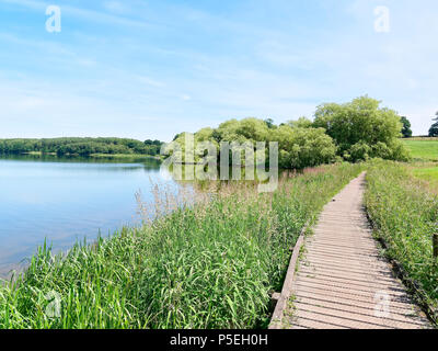 Une allée en bois qui s'exécute sur le côté de Staunton Harold réservoir, vers le champs éloignés. Banque D'Images