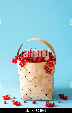 Femme main tenant un panier de groseilles rouges sur fond bleu. La récolte d'été. Concept de saine alimentation Banque D'Images