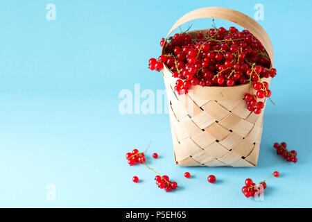 Femme main tenant un panier de groseilles rouges sur fond bleu. La récolte d'été. Concept de saine alimentation Banque D'Images